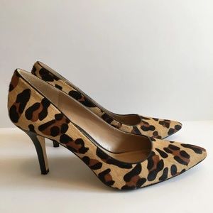 BCBG leopard pumps